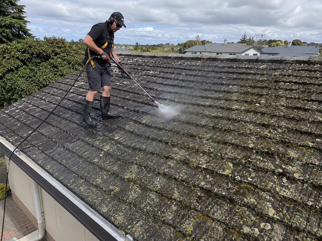 Technician spraying moss and lichen treatment along a heavily covered Auckland tile roof
