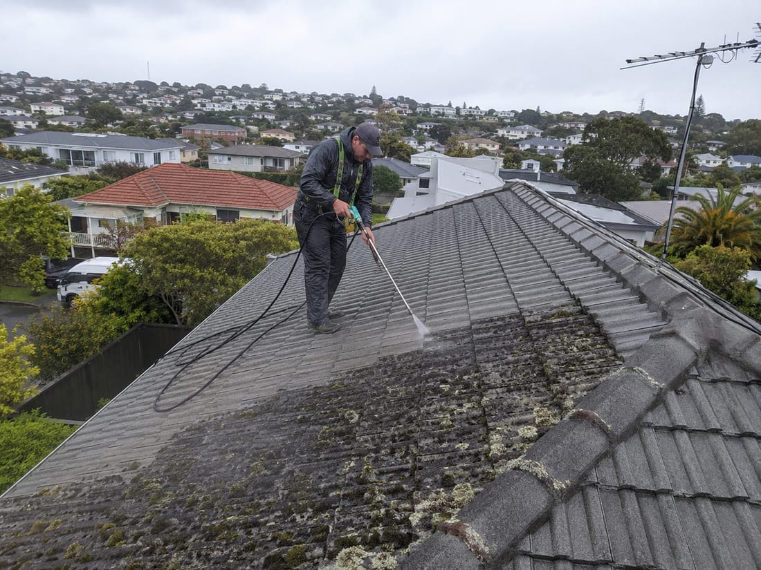 Roof moss removal in progress above an Auckland hillside suburb, with the treated half of the roof already clear