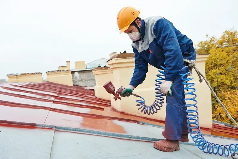 residential painting roof
